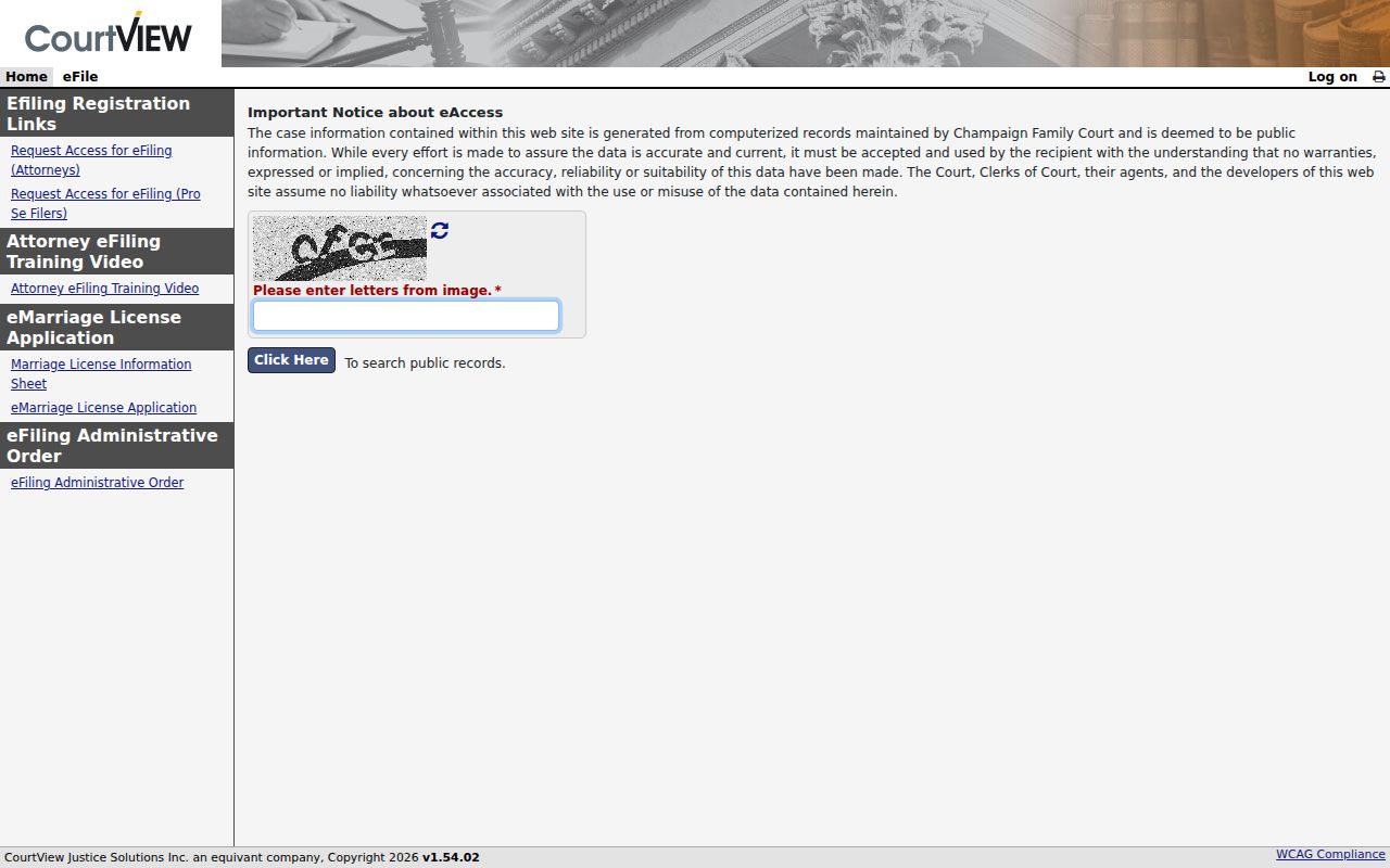Champaign County Family Court record docket access portal
